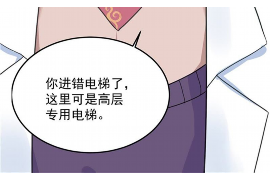 萝北债务清欠服务